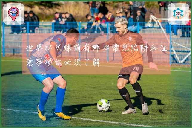世界杯买球前有哪些常见陷阱和注意事项你必须了解