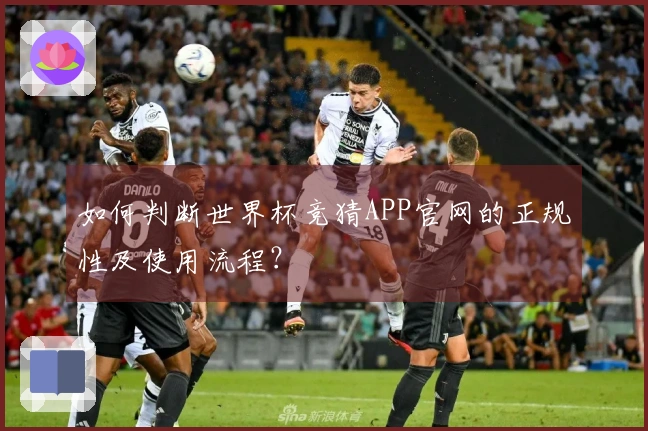 如何判断世界杯竞猜APP官网的正规性及使用流程？