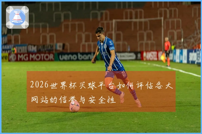 2026世界杯买球平台如何评估各大网站的信誉与安全性