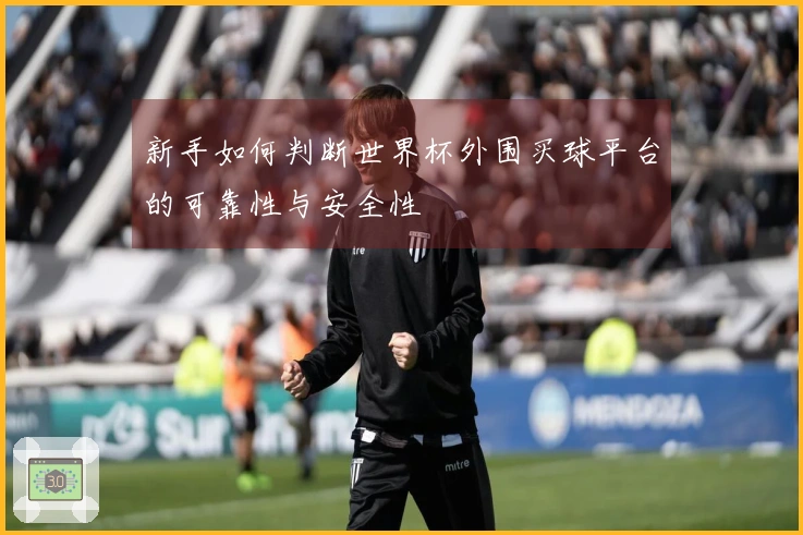 新手如何判断世界杯外围买球平台的可靠性与安全性