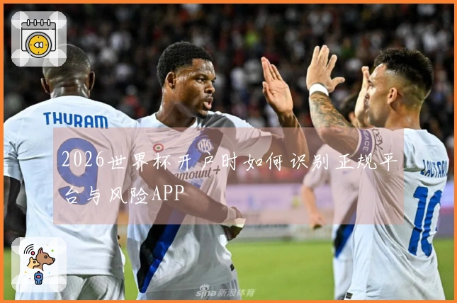 2026世界杯开户时如何识别正规平台与风险APP