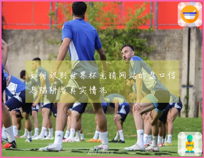 如何识别世界杯竞猜网站的盘口信息陷阱与真实情况