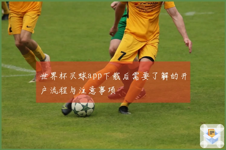 世界杯买球app下载后需要了解的开户流程与注意事项
