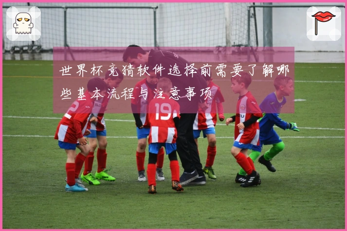世界杯竞猜软件选择前需要了解哪些基本流程与注意事项