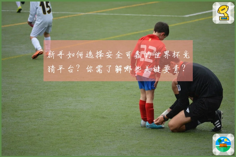 新手如何选择安全可靠的世界杯竞猜平台？你需了解哪些关键要素？