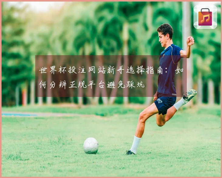 世界杯投注网站新手选择指南：如何分辨正规平台避免踩坑