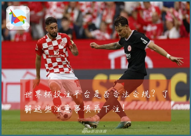 世界杯投注平台是否合法合规？了解这些注意事项再下注！