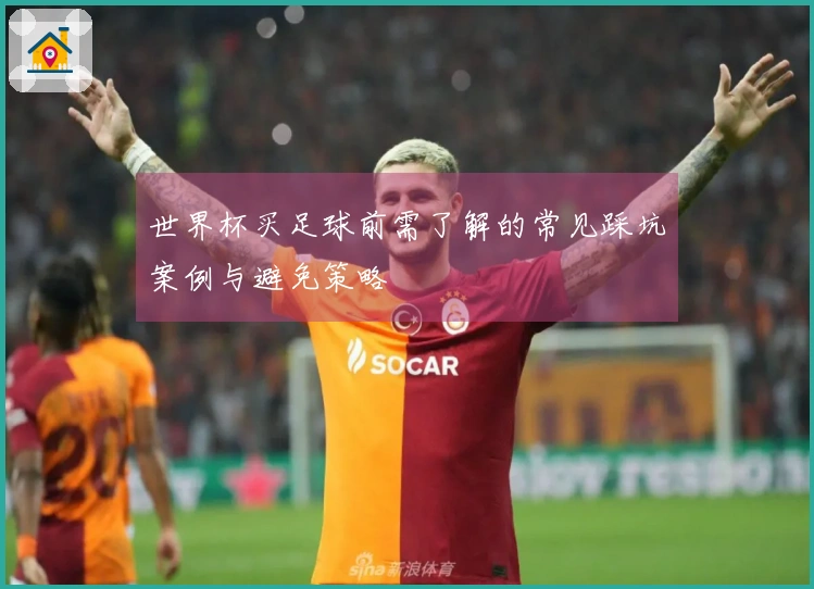 世界杯买足球前需了解的常见踩坑案例与避免策略