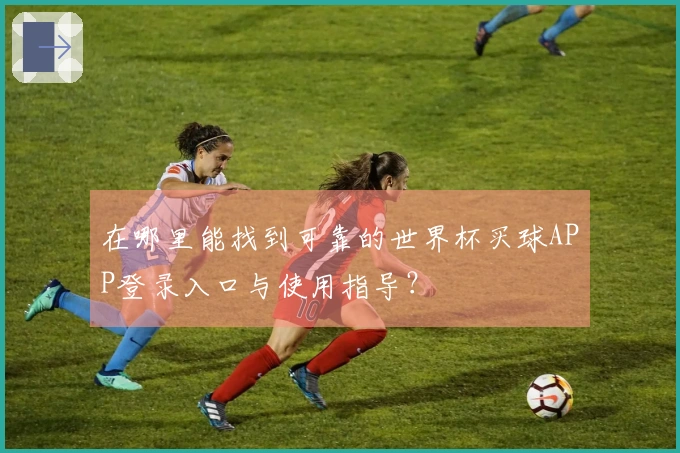 在哪里能找到可靠的世界杯买球APP登录入口与使用指导？