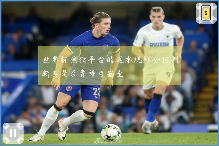 世界杯竞猜平台的返水规则如何判断其是否靠谱与安全