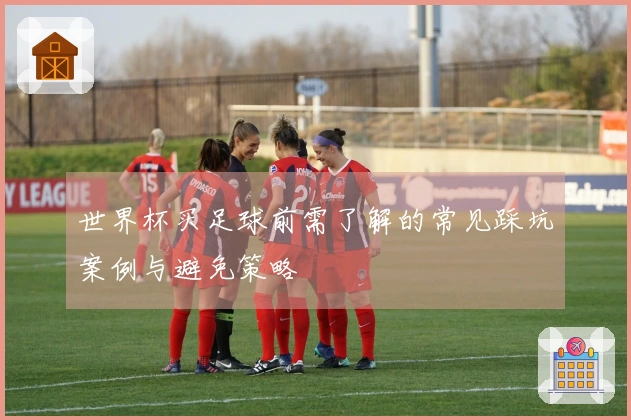 世界杯买足球前需了解的常见踩坑案例与避免策略