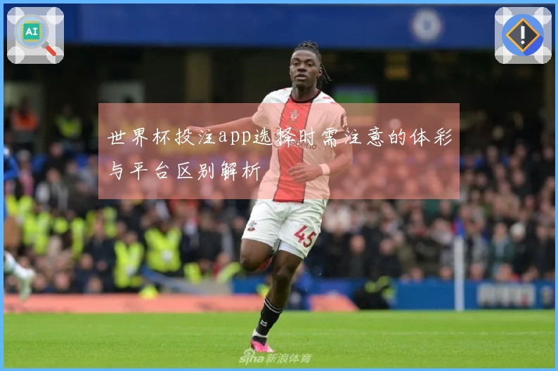世界杯投注app选择时需注意的体彩与平台区别解析