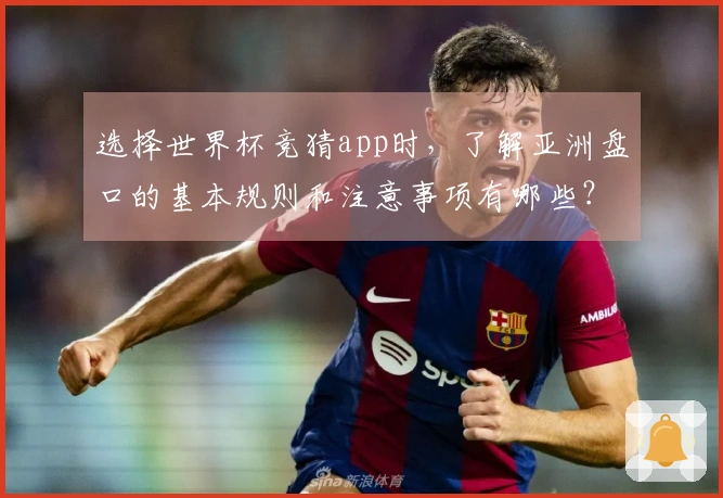 选择世界杯竞猜app时，了解亚洲盘口的基本规则和注意事项有哪些？