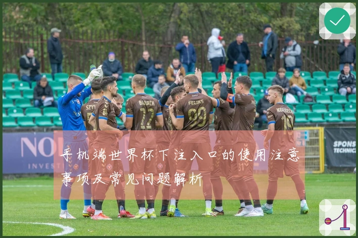 手机端世界杯下注入口的使用注意事项及常见问题解析