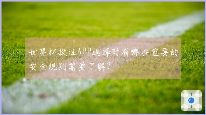 世界杯投注APP选择时有哪些重要的安全规则需要了解？