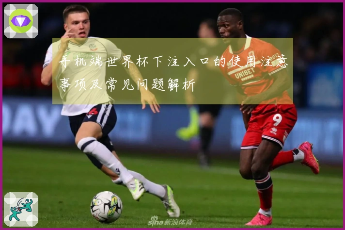 手机端世界杯下注入口的使用注意事项及常见问题解析