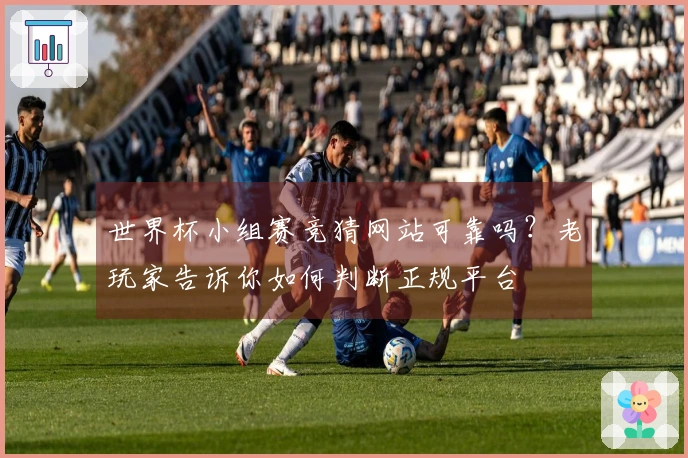 世界杯小组赛竞猜网站可靠吗？老玩家告诉你如何判断正规平台