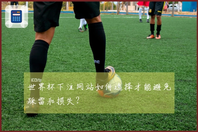 世界杯下注网站如何选择才能避免踩雷和损失？