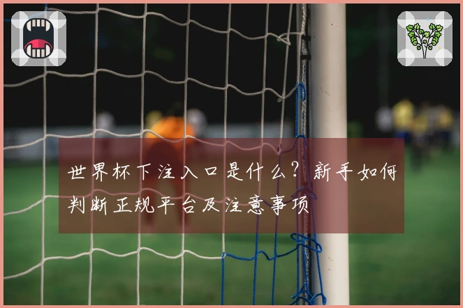 世界杯下注入口是什么？新手如何判断正规平台及注意事项