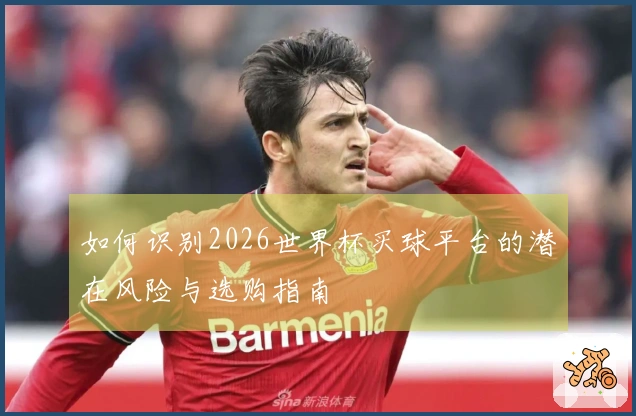 如何识别2026世界杯买球平台的潜在风险与选购指南