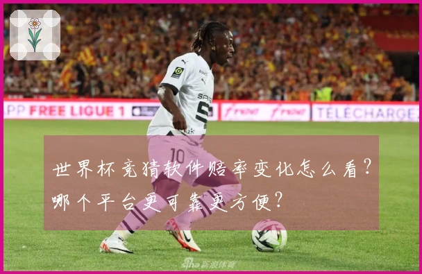世界杯竞猜软件赔率变化怎么看？哪个平台更可靠更方便？