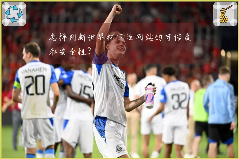 怎样判断世界杯下注网站的可信度和安全性？