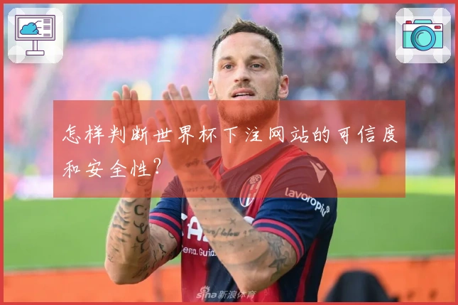 怎样判断世界杯下注网站的可信度和安全性？