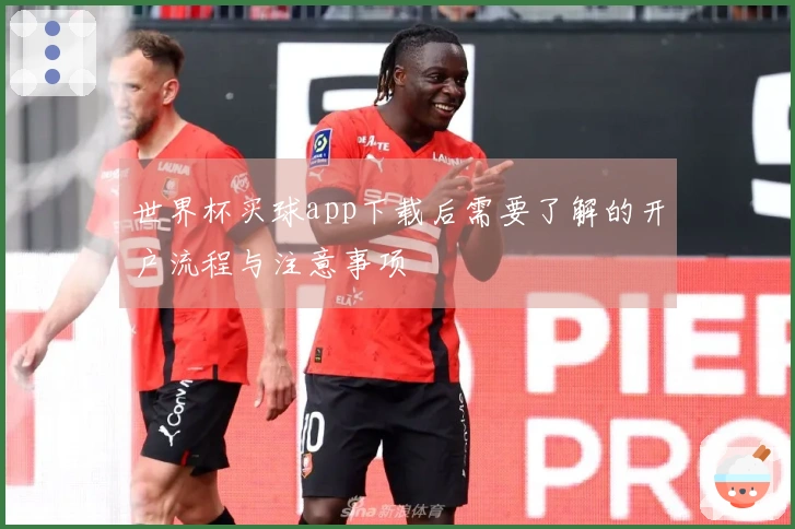 世界杯买球app下载后需要了解的开户流程与注意事项