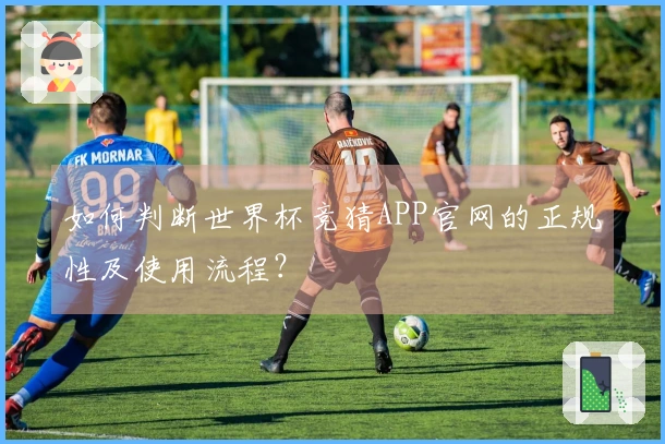如何判断世界杯竞猜APP官网的正规性及使用流程？