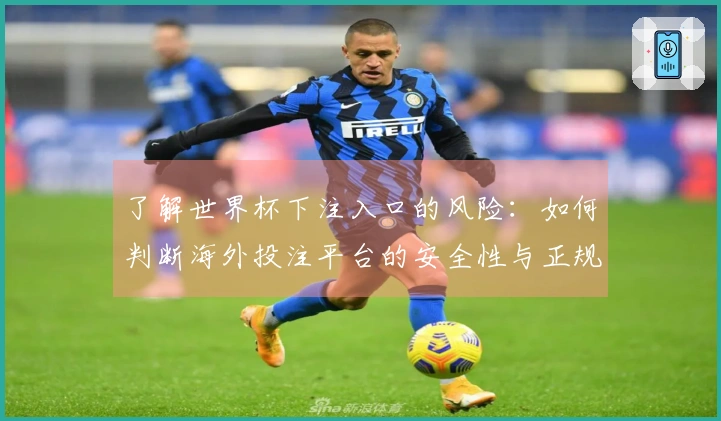 了解世界杯下注入口的风险：如何判断海外投注平台的安全性与正规性？